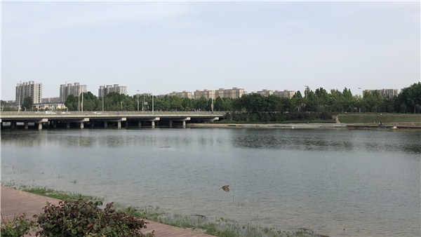 奮進(jìn)新征程 豫見(jiàn)新氣象丨 “水云蹤”當(dāng)上智能監(jiān)測(cè)“管