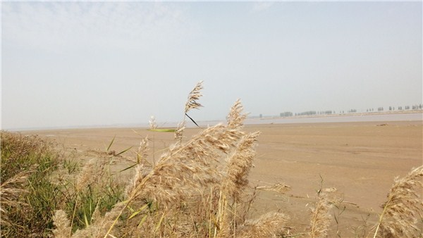  奮進(jìn)新征程 豫見(jiàn)新氣象丨發(fā)力生物基“新賽道” 打響