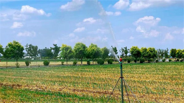 鄉村振興看河南丨周口50多歲的老農，靠“它”一人管2000