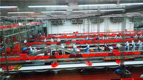 鄉村振興看河南丨既高效又安全，科技創新為雙匯“轉型升