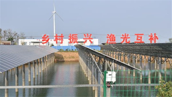 鄉村振興看河南丨念好“漁光互補”富民經 鄲城謝寨村