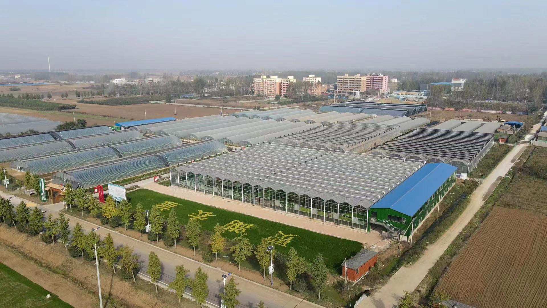 鄉村振興看河南|舞陽：賈湖田園綜合體引領富民興村路