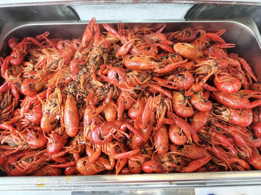 河南廚師戰“疫”日記