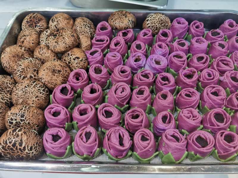 河南廚師武漢戰役日記 