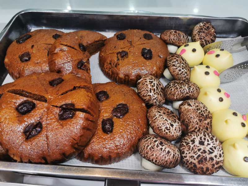 河南廚師武漢戰役日記 